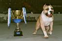 24 - Trouble Pokal 4.jpg
